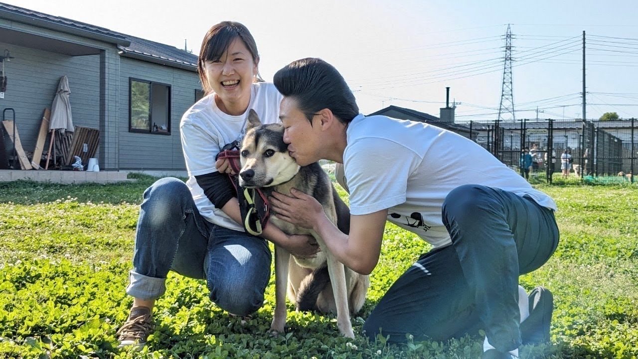 みやぞん、保護犬カフェに行く