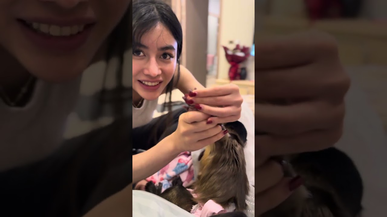 Baby Capuchin Gets His First Manicure! 😂💅 | Genie the Monkey