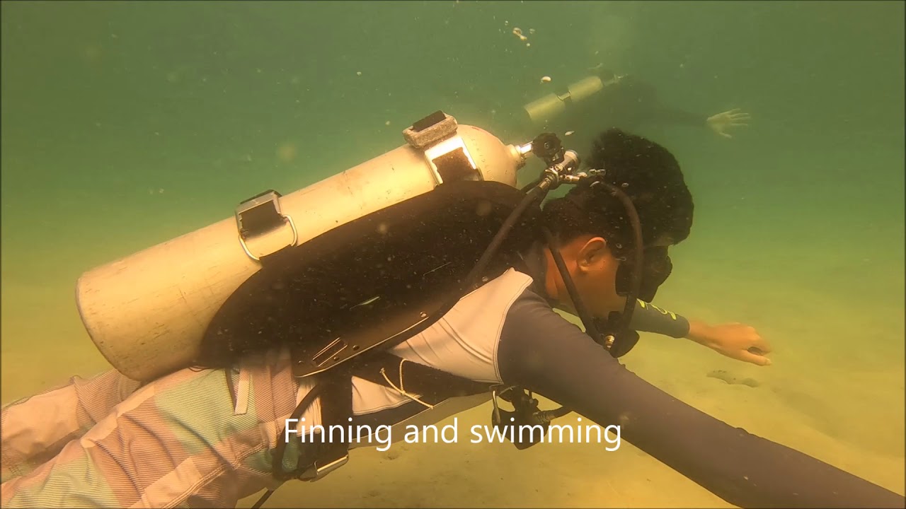 RAID open water 20 Confined water dives 1 and 2