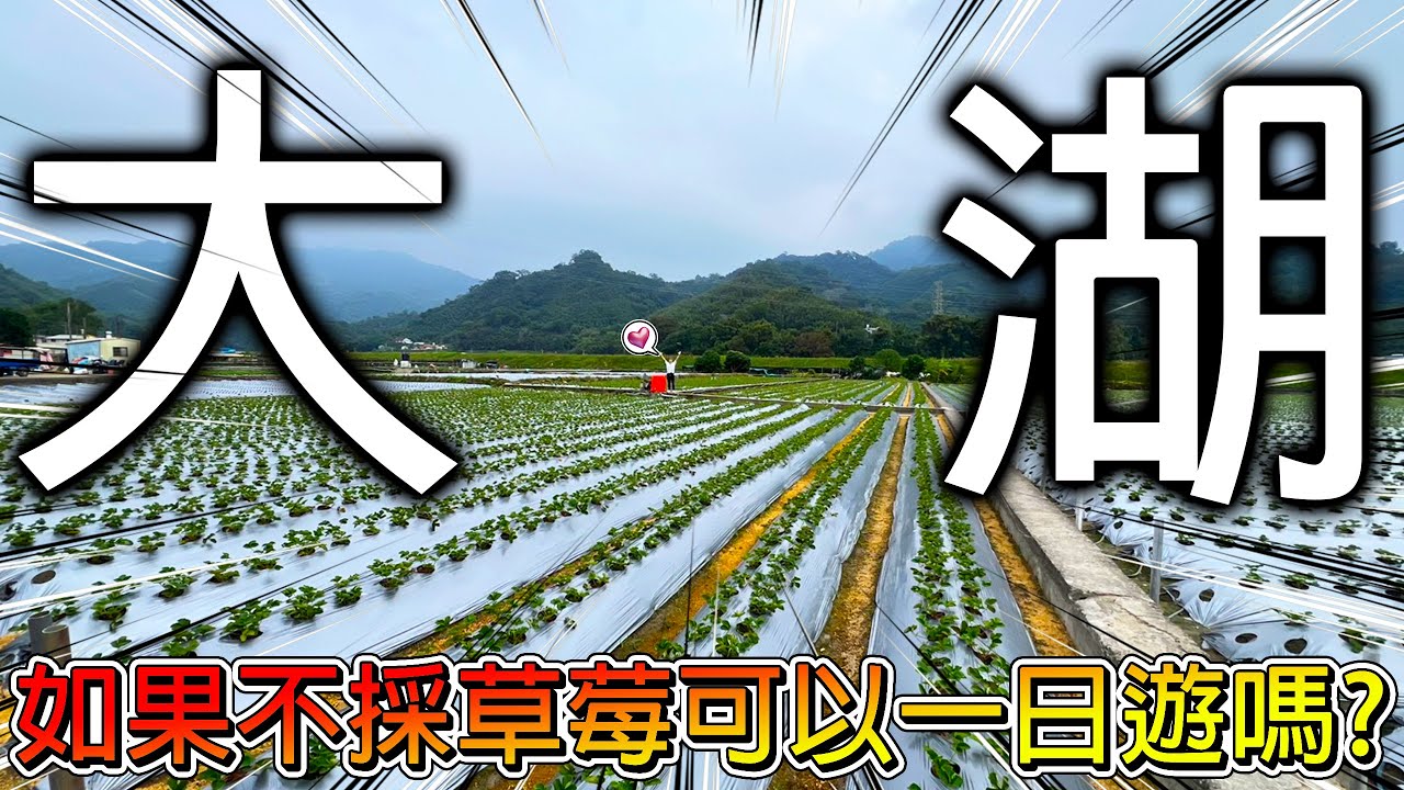【挑戰全台一日遊】草莓香腸、草莓茶葉蛋是什麼味道？苗栗大湖不採草莓就沒景點了？勇闖只能蹲著走的百年蝙蝠洞！！！【冠哥帶冠嫂去玩】
