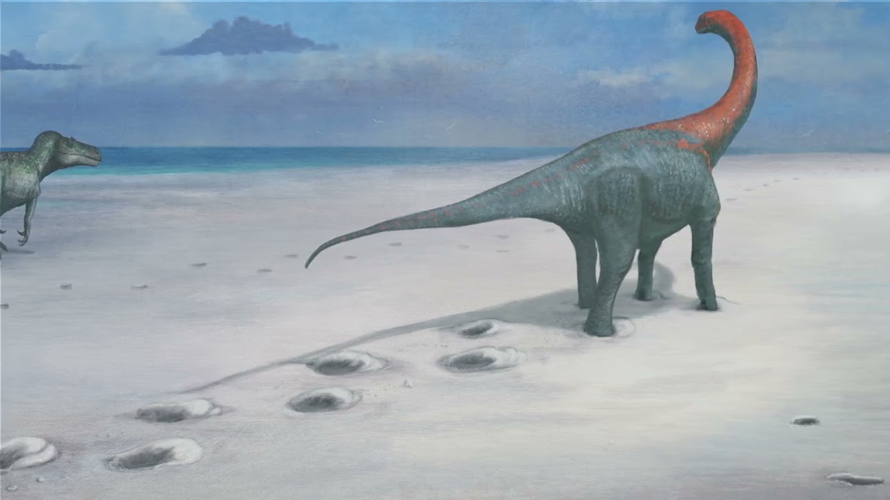 Uncovering the past: Dinosaur footprints uncovered during works in Oxfordshire