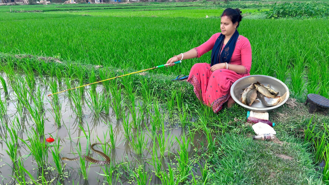 Unique hook Fishing🎣🎣|| Beautiful lady fishing in the paddy field water with hook| Best hook fishing