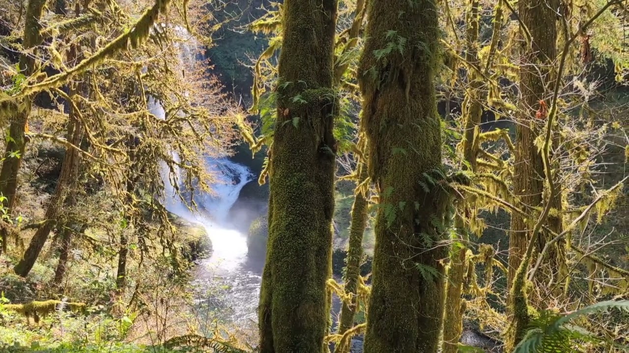 Silver Falls Canyon Trail hike 10