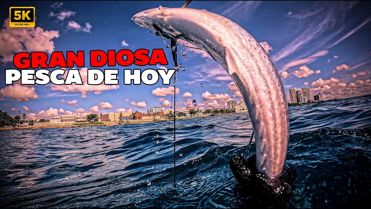 ¡OH MY GOD, QUÉ BUENA PESCA EN EL MALECÓN FRENTE A LA CANSILLERÍA!