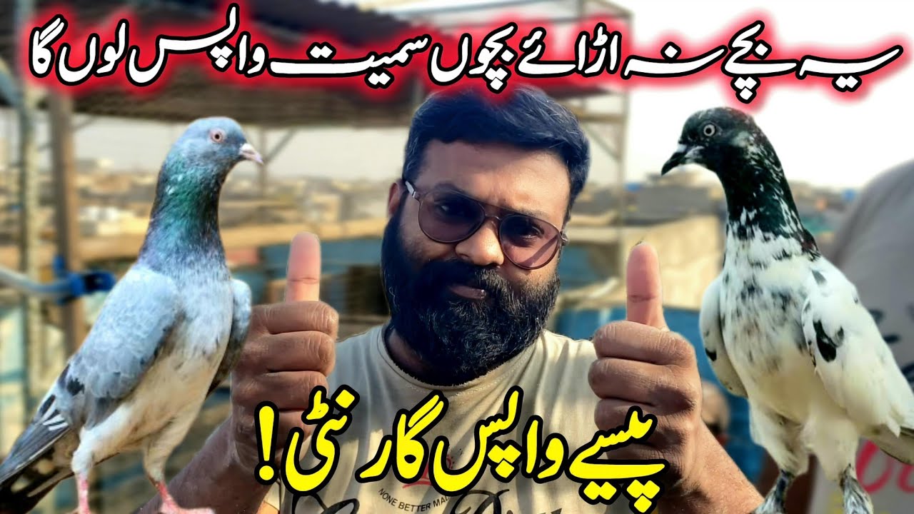 Roshu ka bara dawa😱 || Result na dain bacho samiat wapis || 0316-5639-636 
