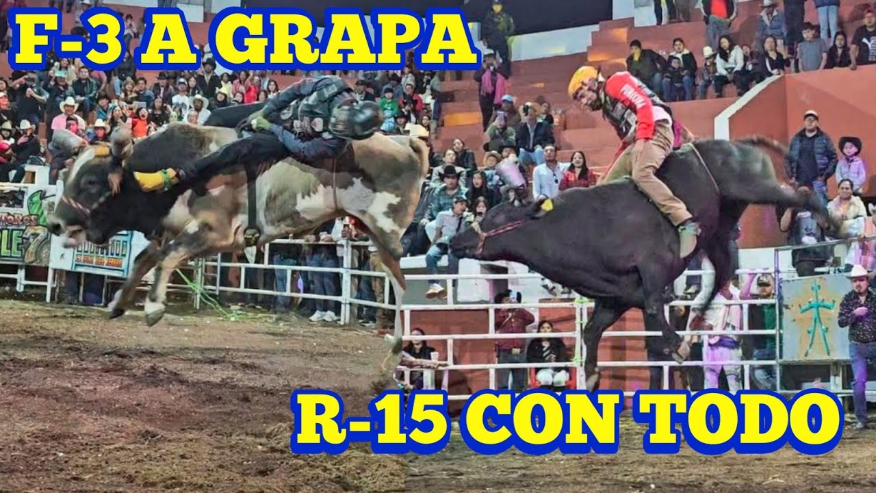 Rancho guamuchil y Dinastia Nayarita en Magdalena Petlacalco 2026| f3 a grapa| r15 con todo