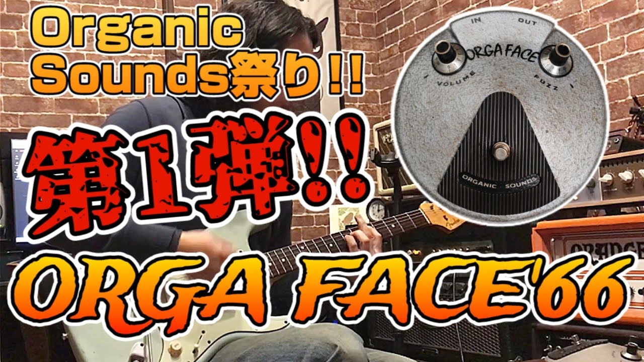 【唯一無二のファズ】やるぞ！！Organic Sounds祭り！！今回はORGA FACE'66を弾いて弾いて弾きまくる！