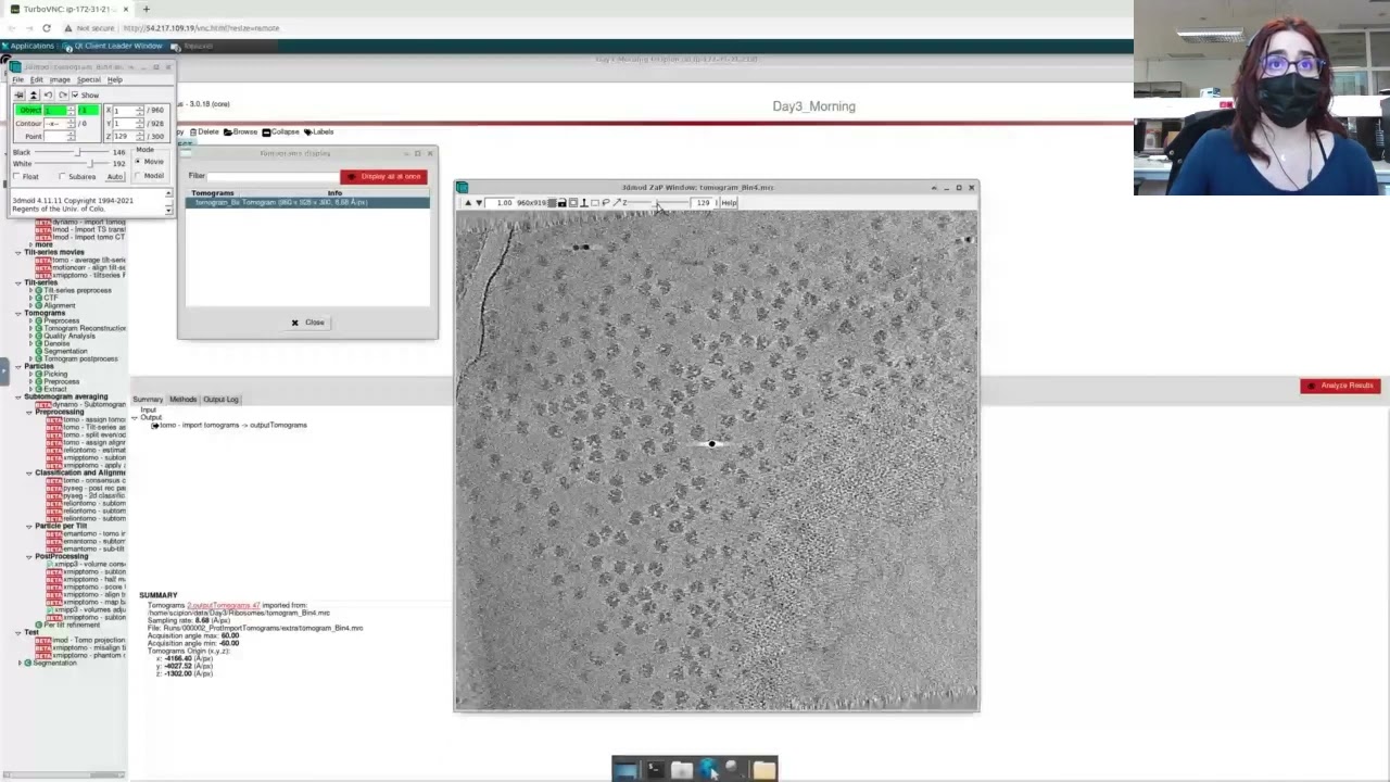 Subtomogram averaging ribosomes. Instruct course on cryo electron tomography. Madrid, December