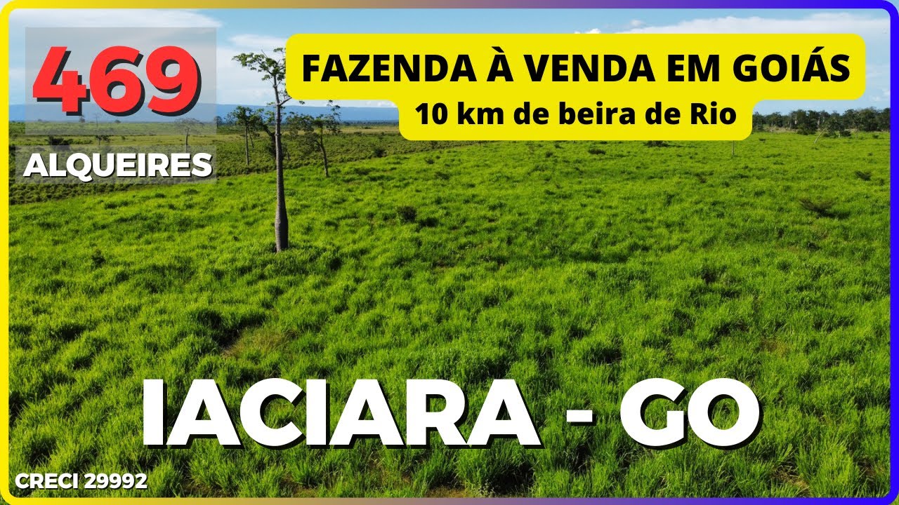 🌱 EXPLORANDO UMA OPORTUNIDADE ÚNICA: FAZENDA À VENDA EM GOIÁS – IACIARA, CONHEÇA OS DETALHES! #agro
