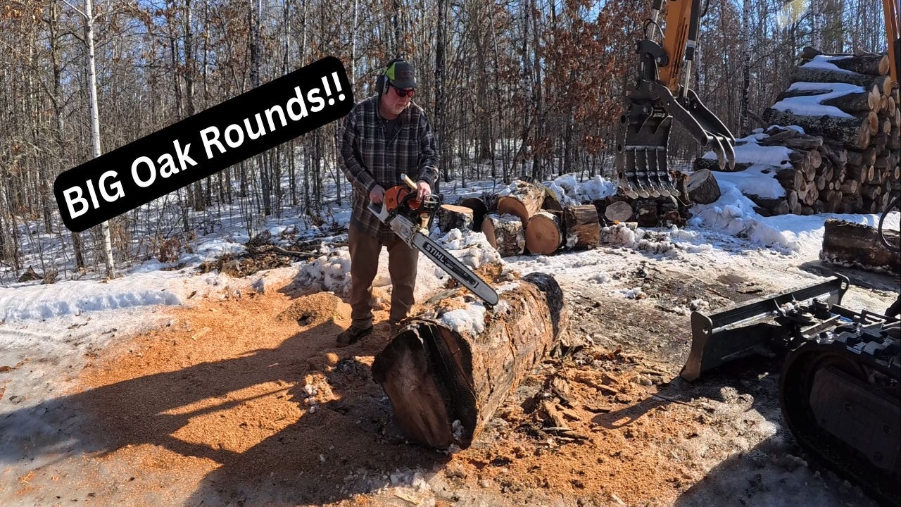 В лесопилке сегодня дождливый день! Колем ели, расчищаем дубы и собираем хворост!!