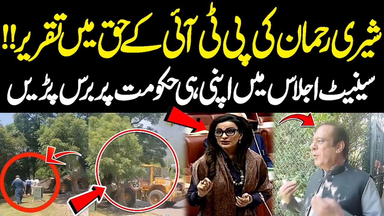 Why CTD Raid Shibli Faraz House?? Sherry Rahman Speech In Favor Of PTI!! | Public News