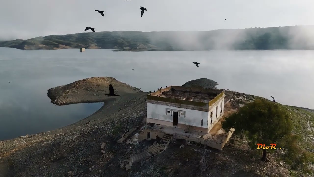 NIEBLA SOBRE EL AGUA 2