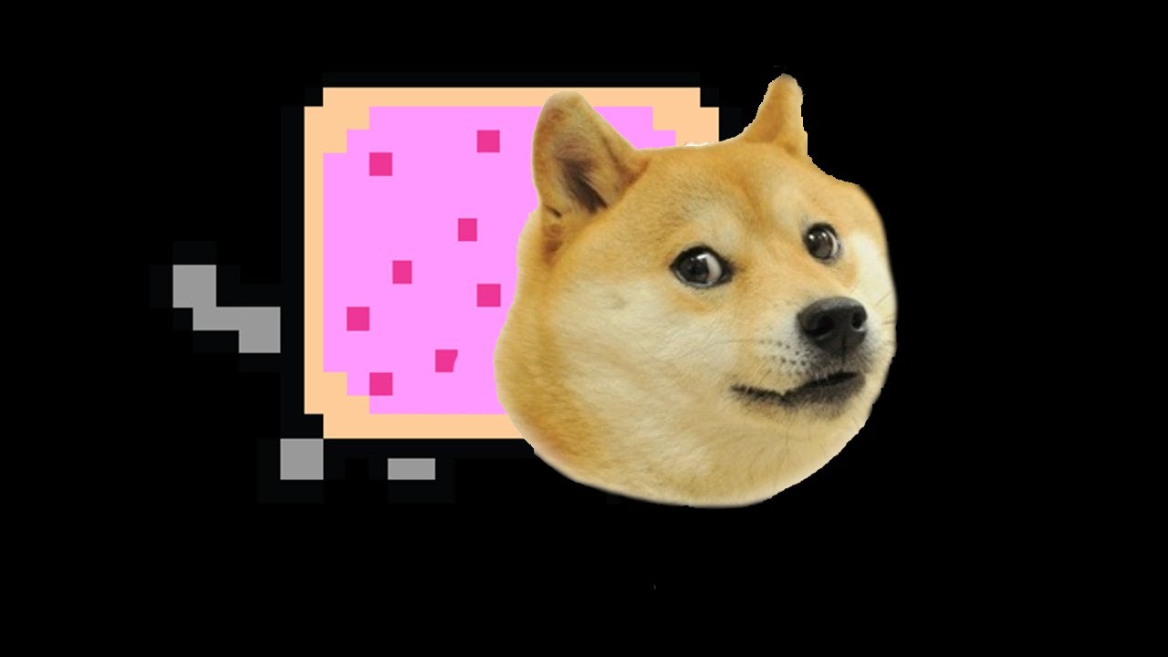 The Story Of Doge