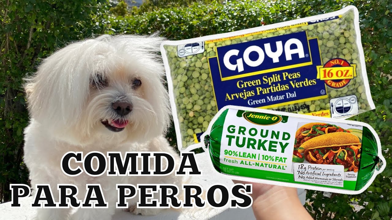 🐶RECETA: Arvejas con Pavo para mi Perrita Anciana I Lorentix