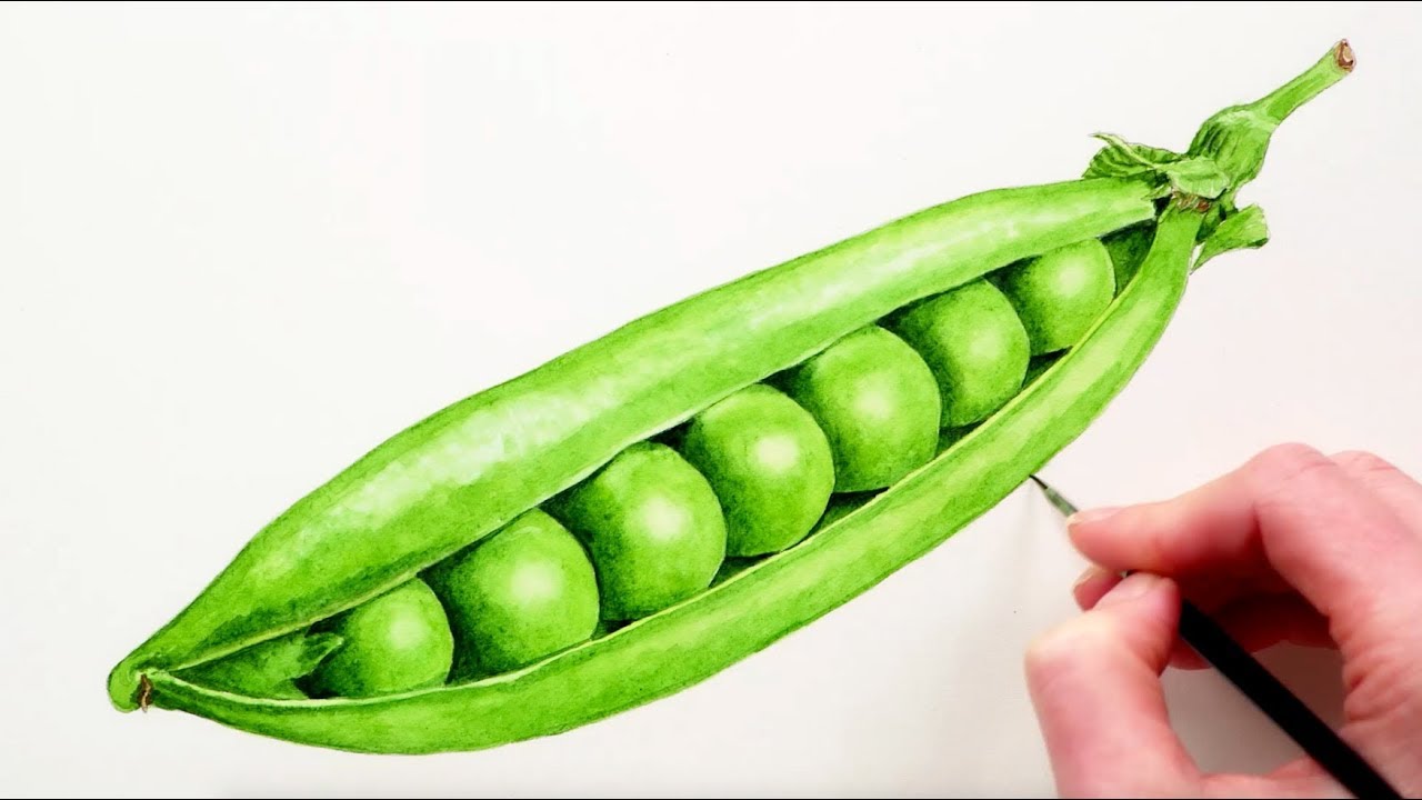 How to paint a sphere in watercolour: mastering smooth transitions