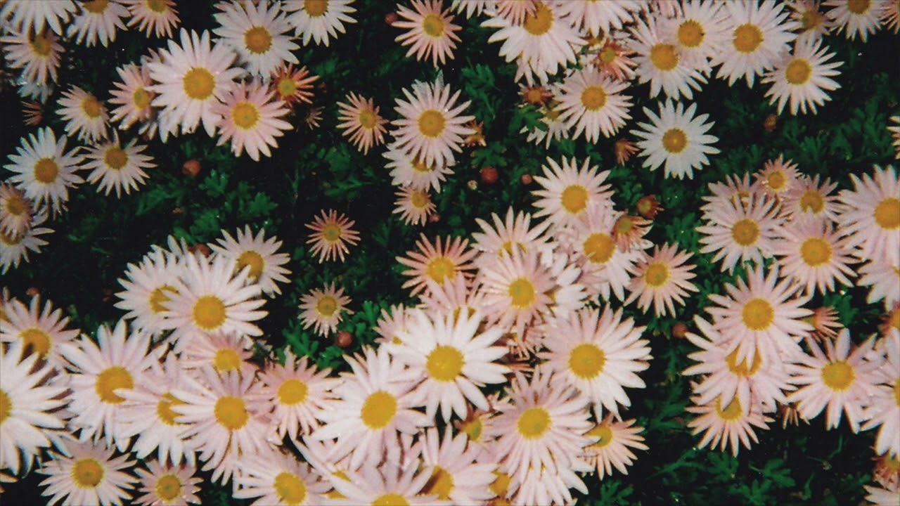 Bad Bad Hats - Bad Bad Hats (Flower Album) (2024)