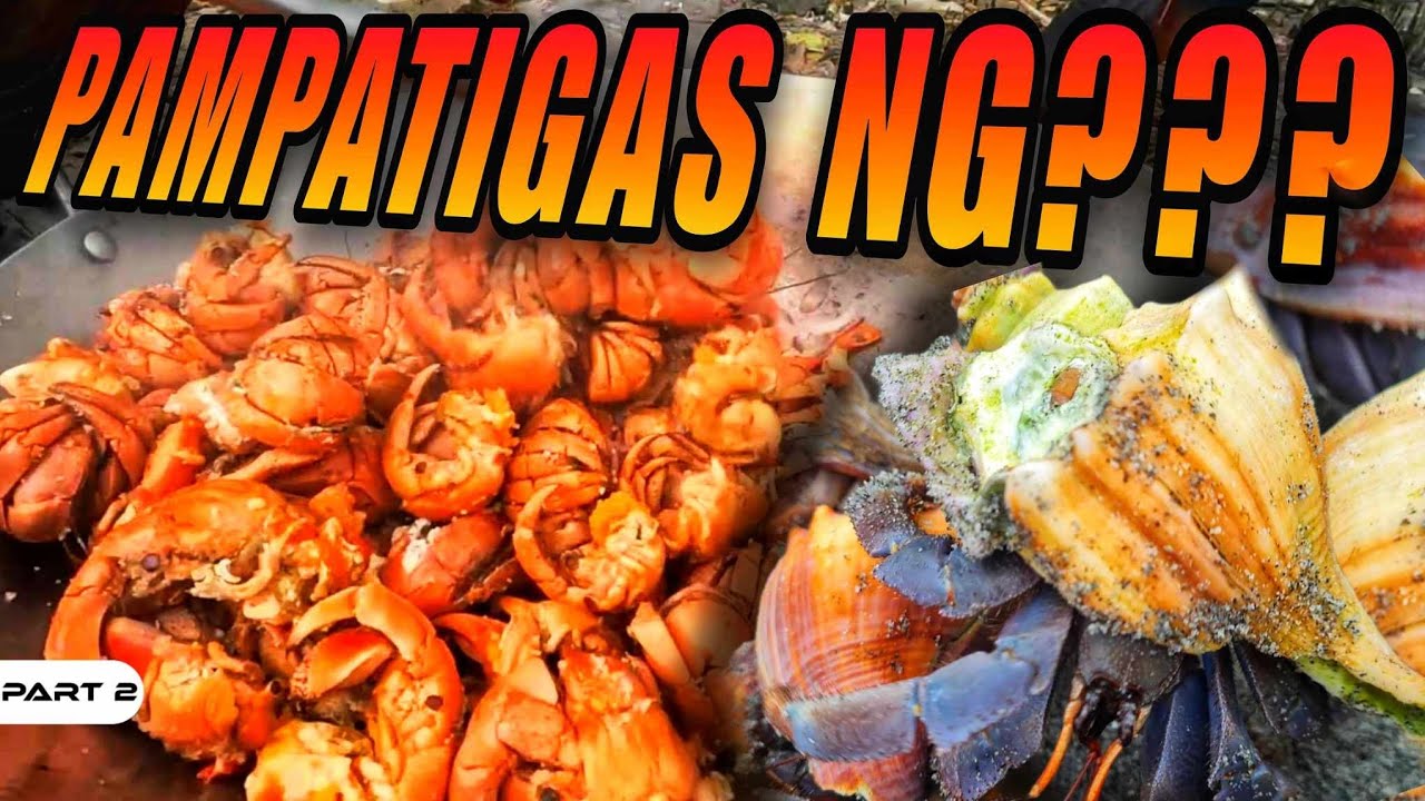P2 - Hermit Crab Catch and Cook - EP1497