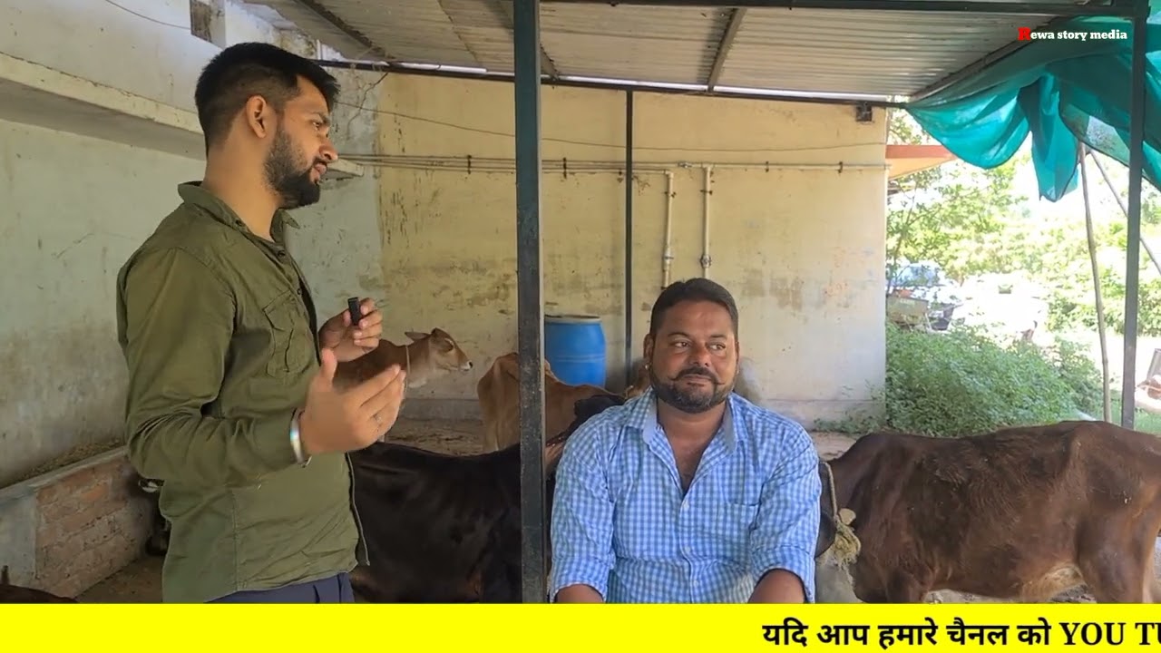 #रीवा का बहुत ही शानदार #डेयरी, जानें रोचक जानकारी || Rewa story media
