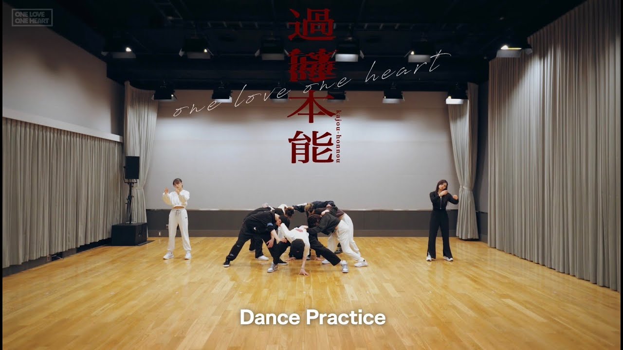 【CHOREOGRAPHY】 ONE LOVE ONE HEART 『過剰本能』 Dance Practice