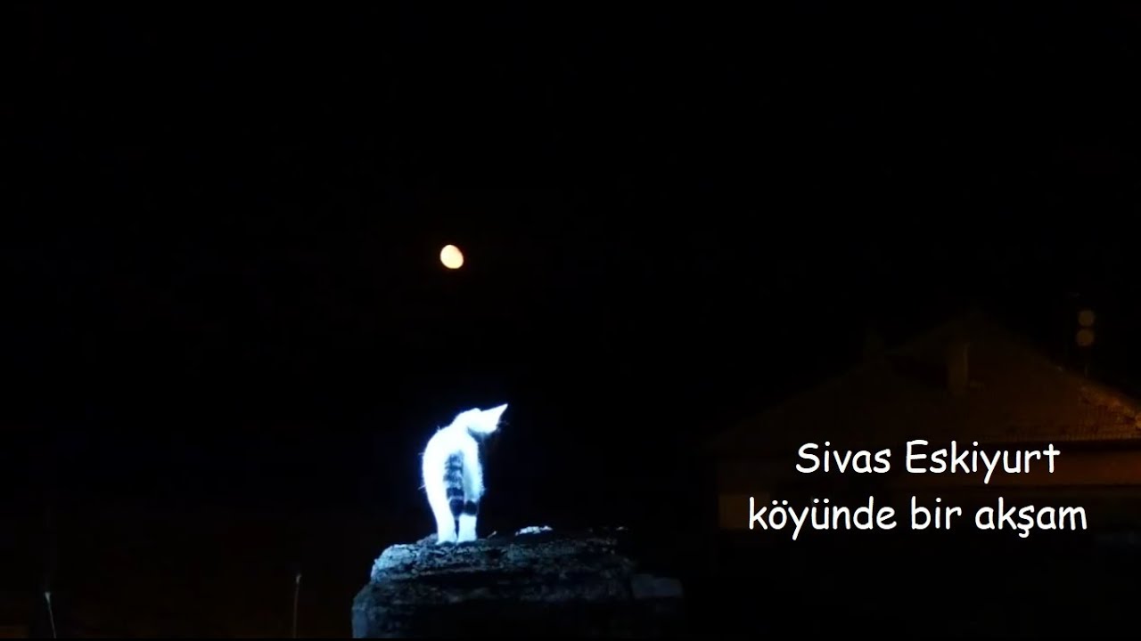 Sivas Eskiyurt köyünde bir akşam