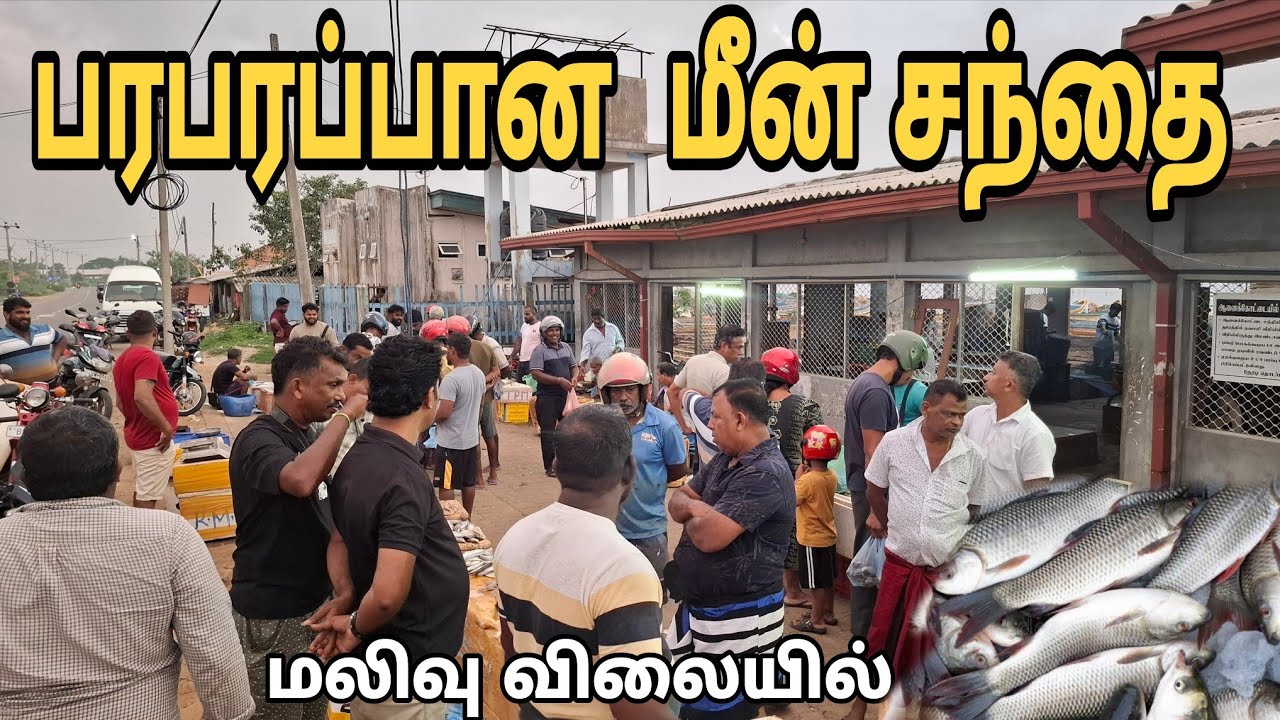 பரபரப்பான மீன் சந்தை 