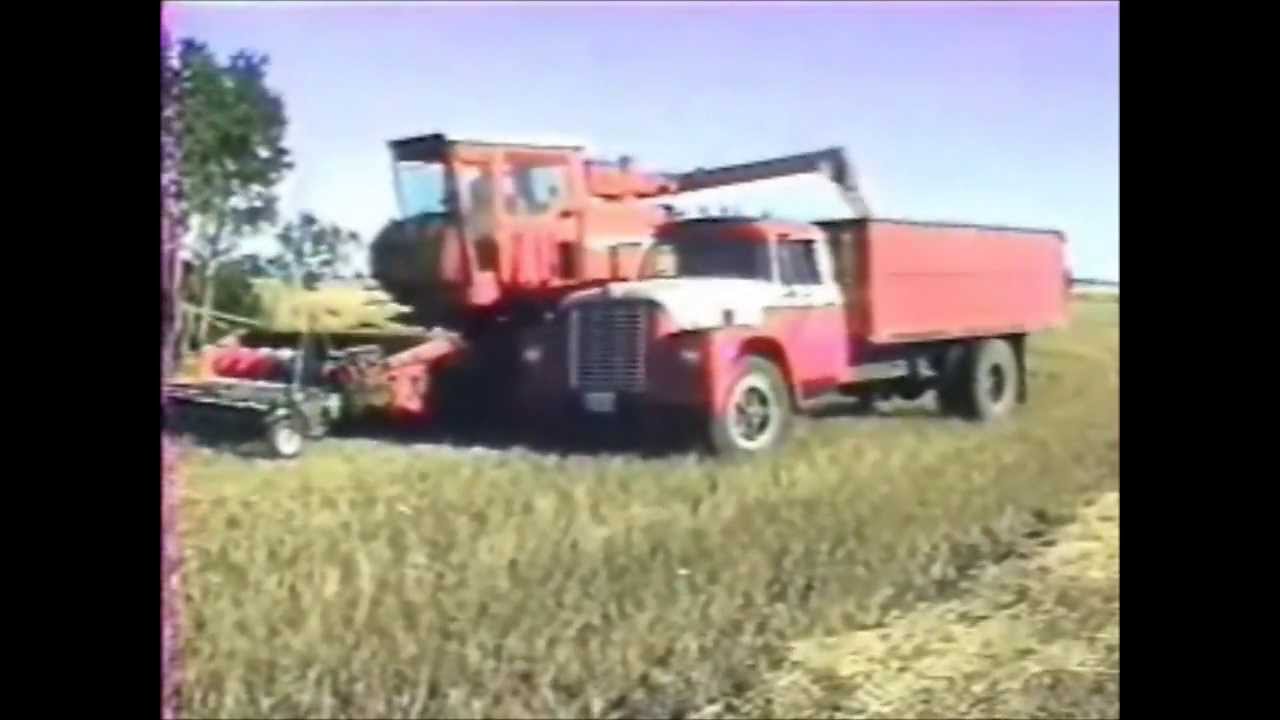 1988 510 Harvest