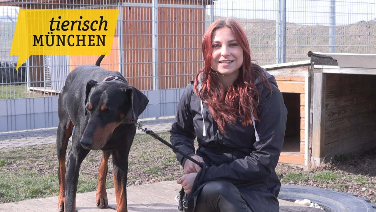 Tierisch München vom 24.04.2023