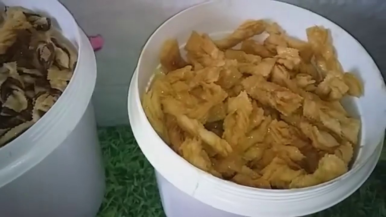 الكراوش بالحليب والشكلاط حصريا على اليوتوب🥨🥨😋😋
