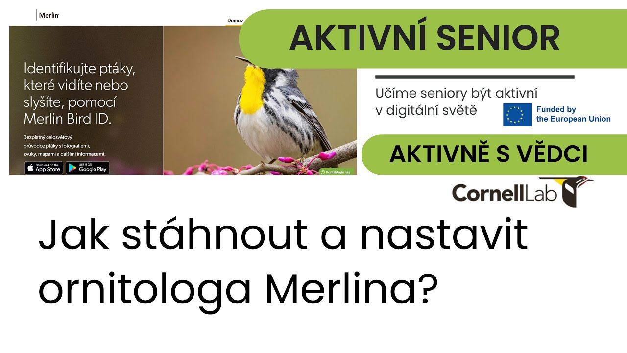 Návod, jak nainstalovat a nastavit aplikaci Merlin