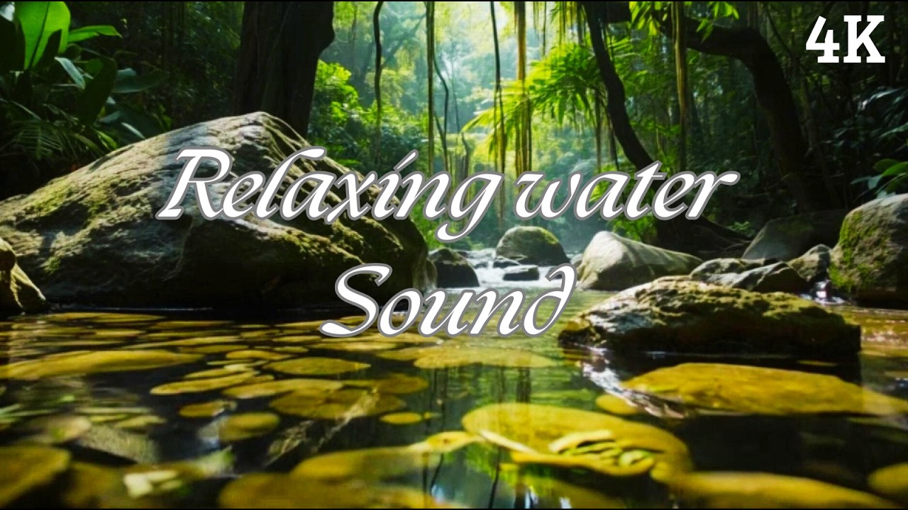 Tropical River Sounds 🌿 Flowing Stream Ambience for Sleep & Relaxation (No Music)