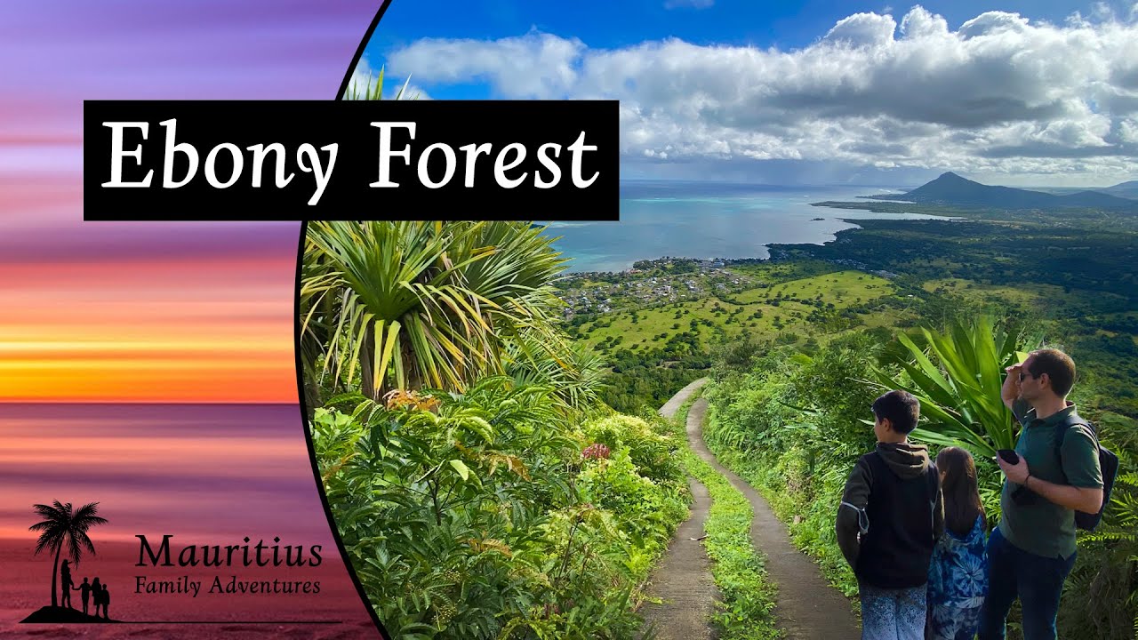Ebony Forest Chamarel, Safari Jeep Tour, To do in Mauritius