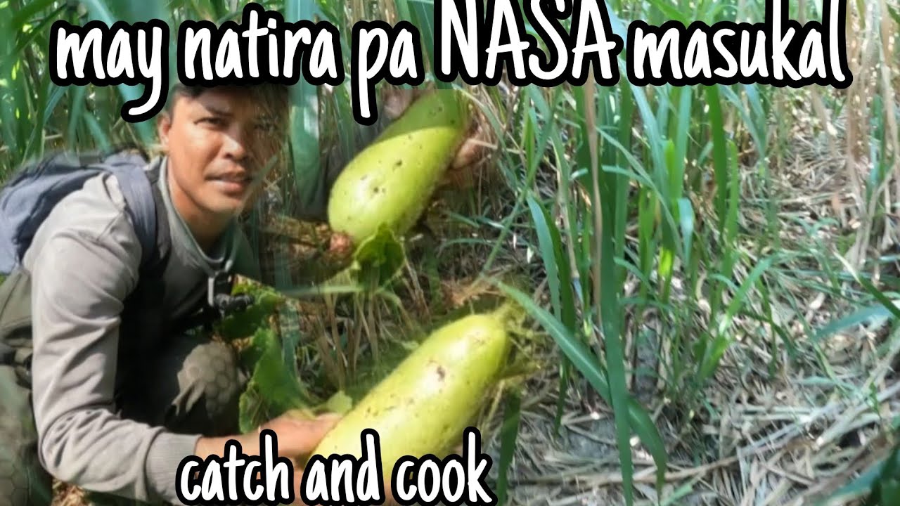 NASA masukal na gubat naka tago sa damuhan.may natitira pa 