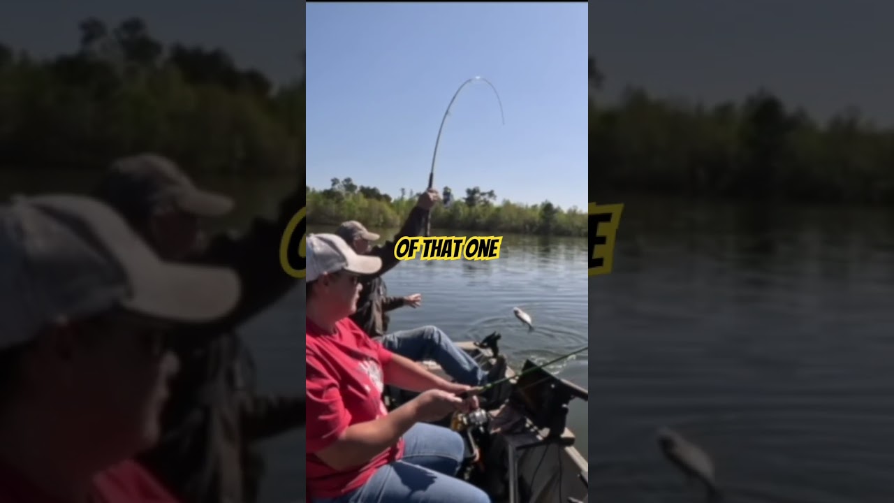 Big BEAUTIFUL Black CRAPPIE | CRAPPIE FISHING 