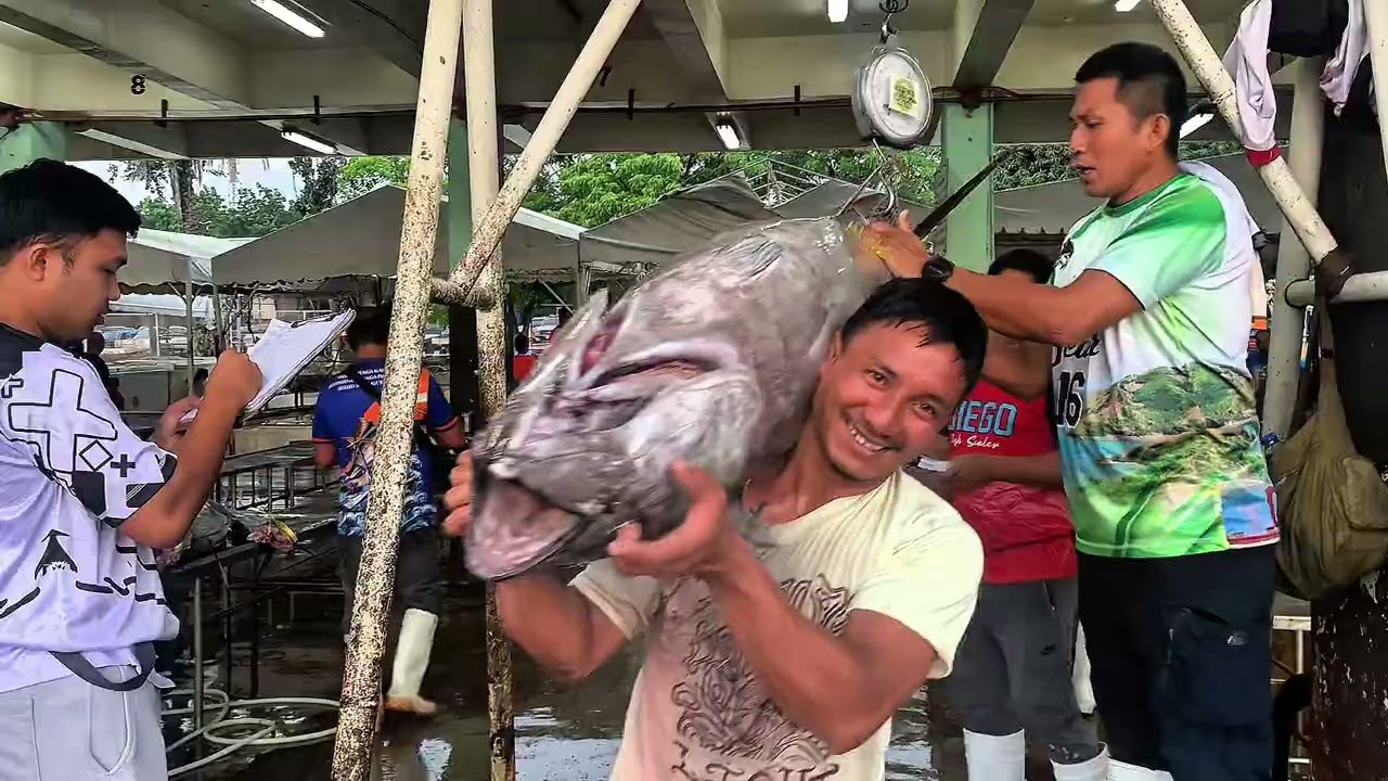 Big Tuna in Gensan Fishport 
