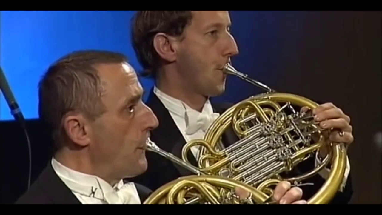 Brahms  Piano Concerto No 1   H&eacute;l&egrave;ne Grimaud