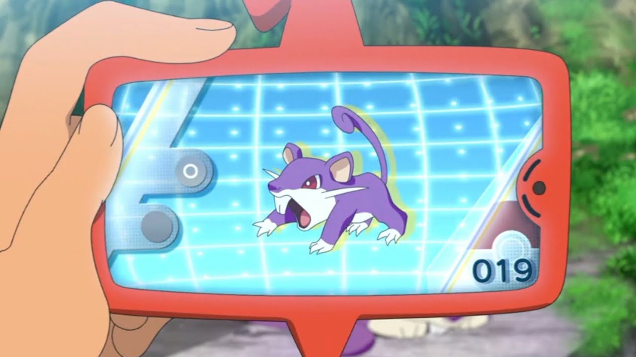 Rattata and Raticate Pok&eacute;dex Entries..wmv