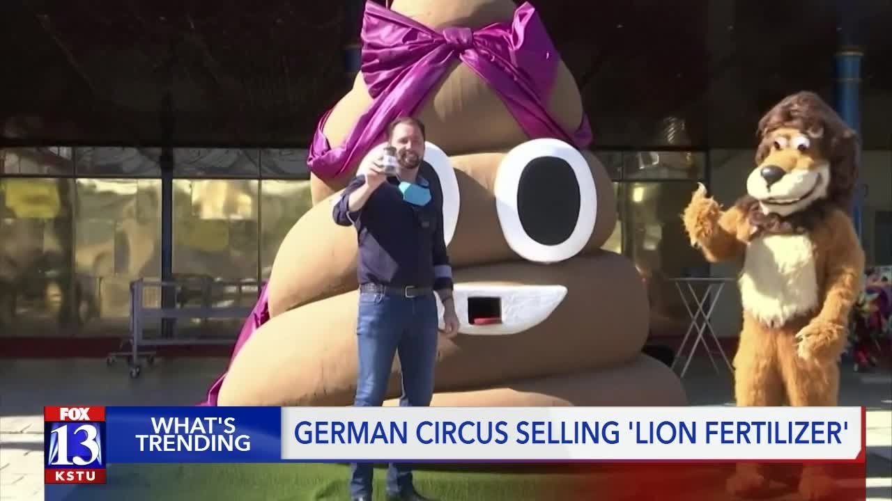 Trending: Lion 'fertilizer' and Guy Fieri's memes