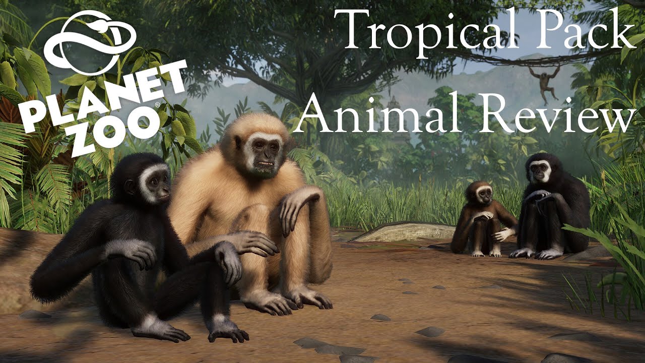 Planet Zoo: Tropical Pack Animal Review