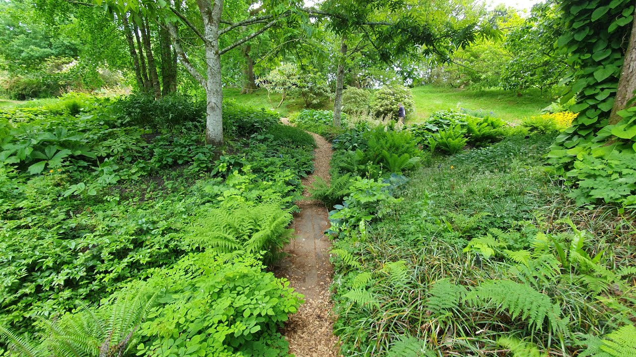 Woodland Garden Inspiration