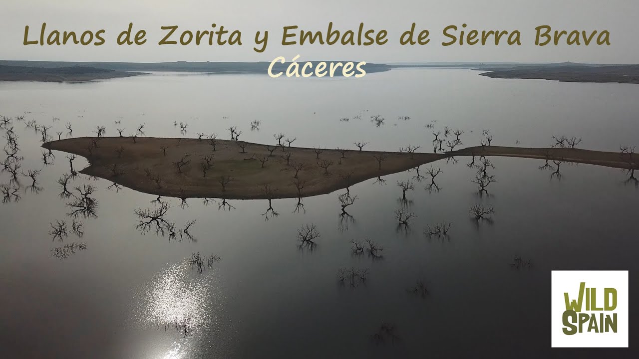 Wild Spain - Capítulo 168 - Llanos de Zorita y Embalse de Sierra Brava, Cáceres.