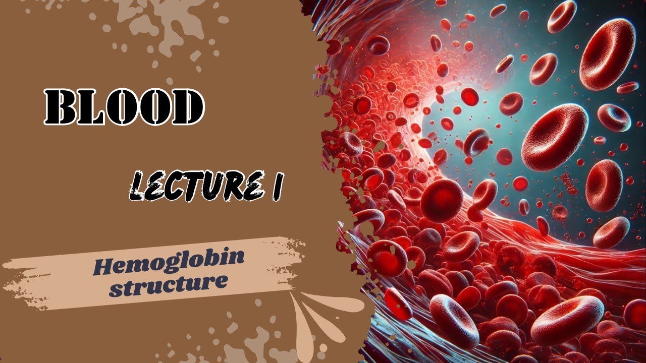 Hemoglobin structure | biochemistry | blood module | Lecture 1 | Dr.Adham Saleh | Med Robot |