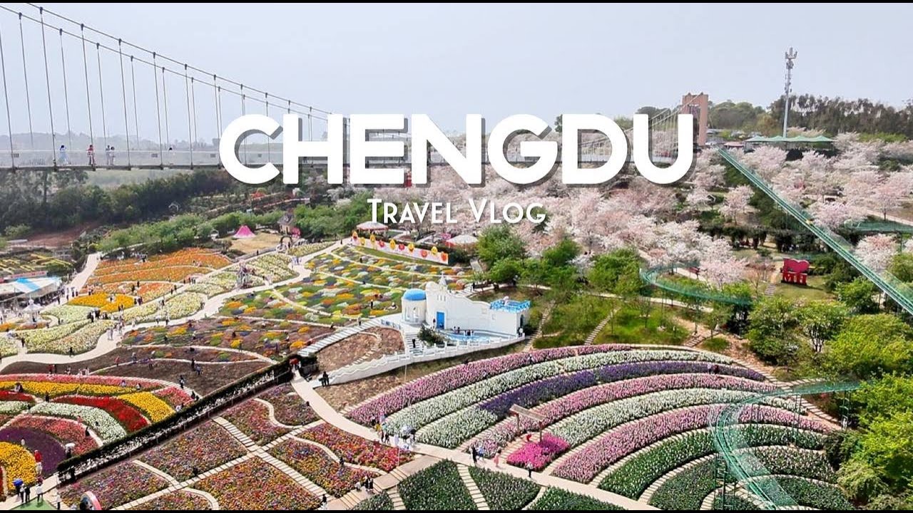 Chengdu Adventures: CUTE PANDAS & SPRING BLOOMS | Exploring Sichuan Ep. 1 | CHINA TRAVEL VLOG