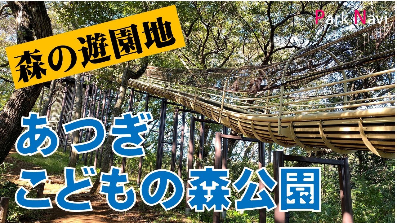 あつぎこどもの森公園 | 冒険遊具がいっぱい