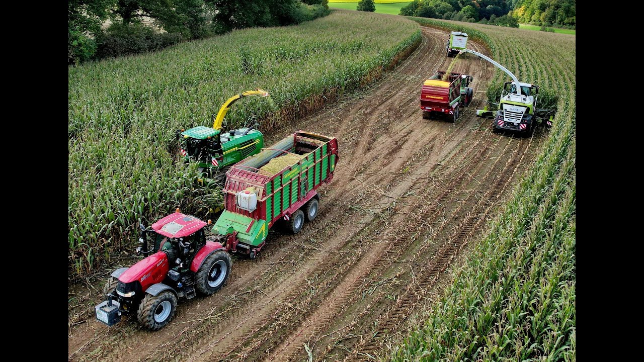 🌽Maisernte '24 • 2x Maishäcksler • John Deere 7350i & Claas Jaguar 960 • 7x Abfahrer • Case Magnum🌽