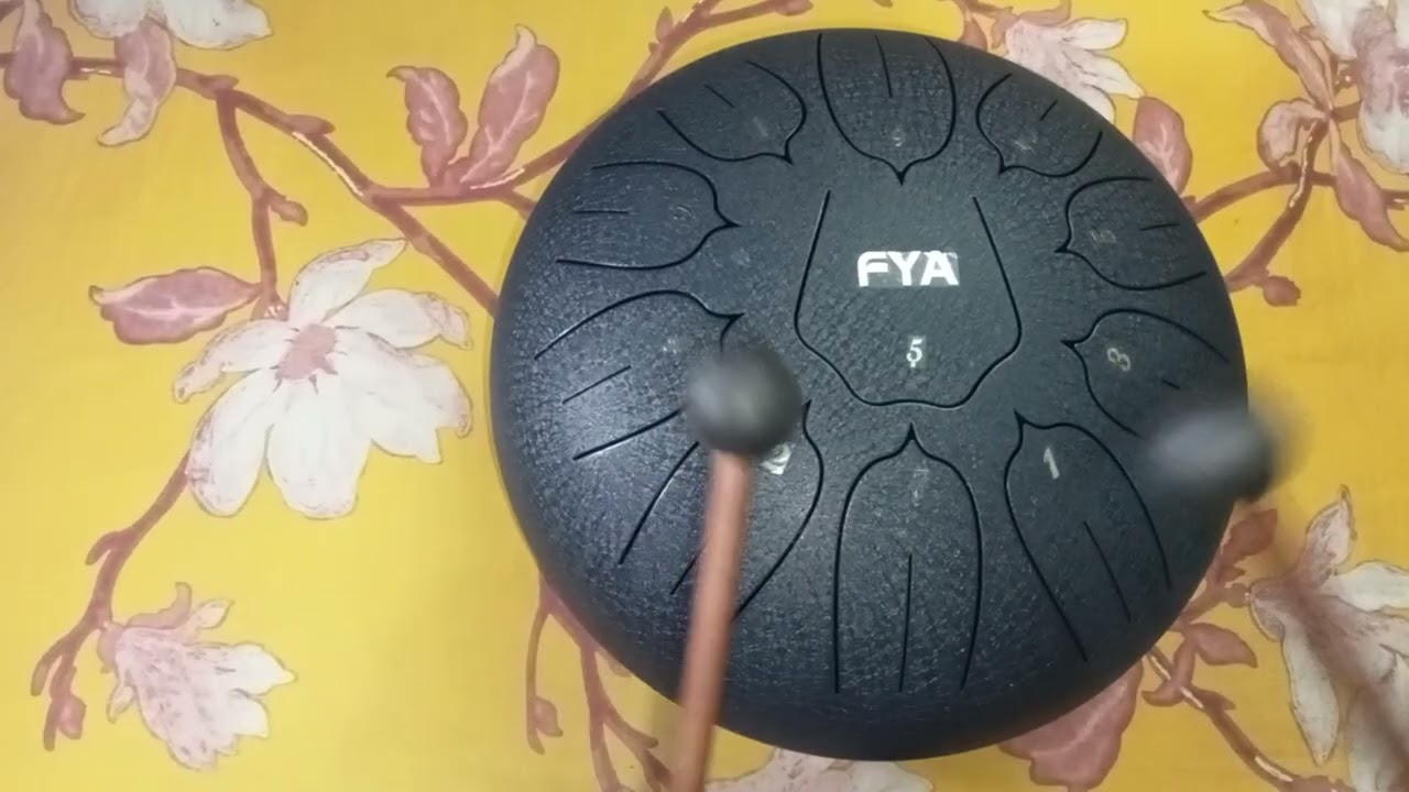 Bhalobasabasi pacchena- steel tongue drum cover 