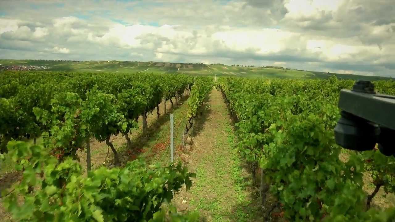 Winzerfilm Weingut Eppelmann Stadecken [produced by winzerfilme.de | ADstore]