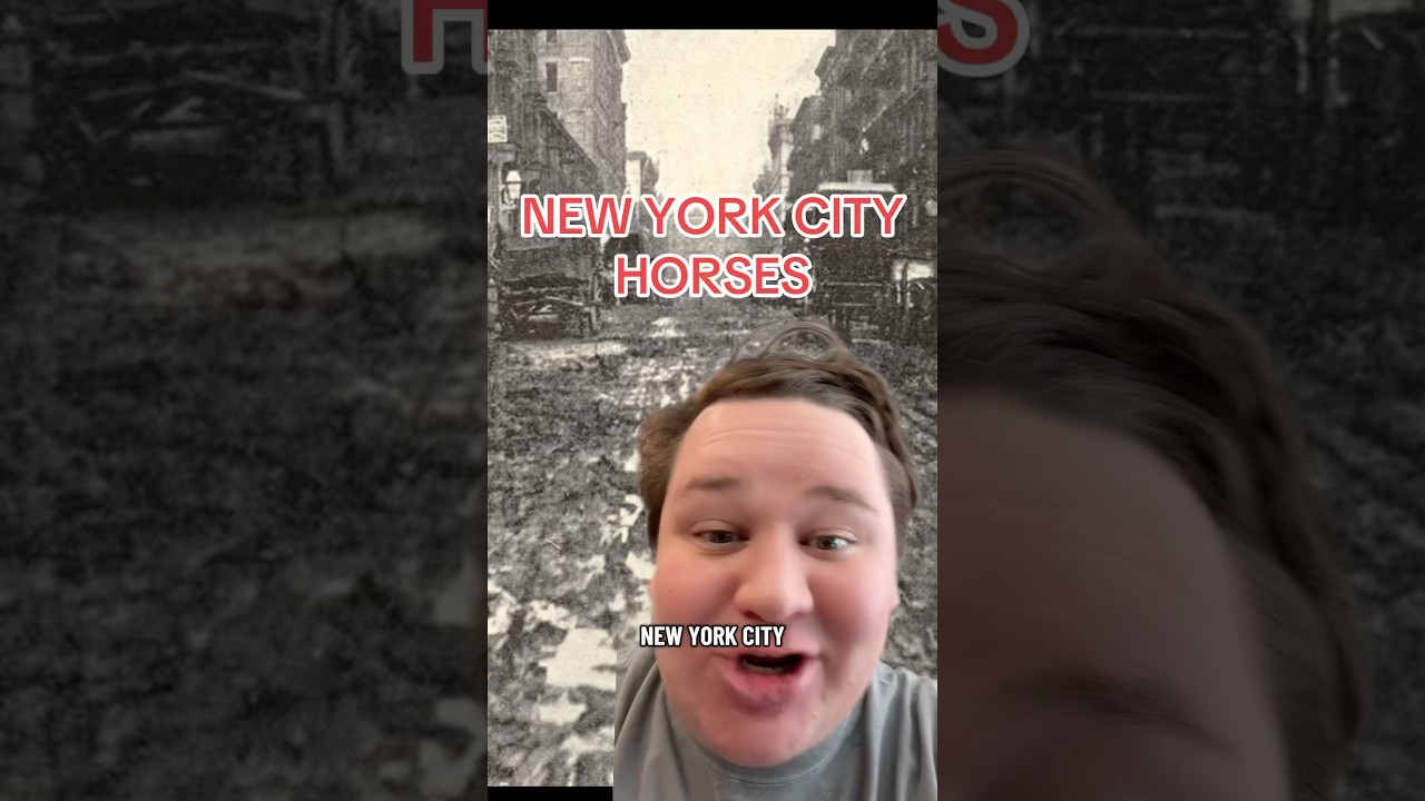 NEW YORK CITY HORSE 