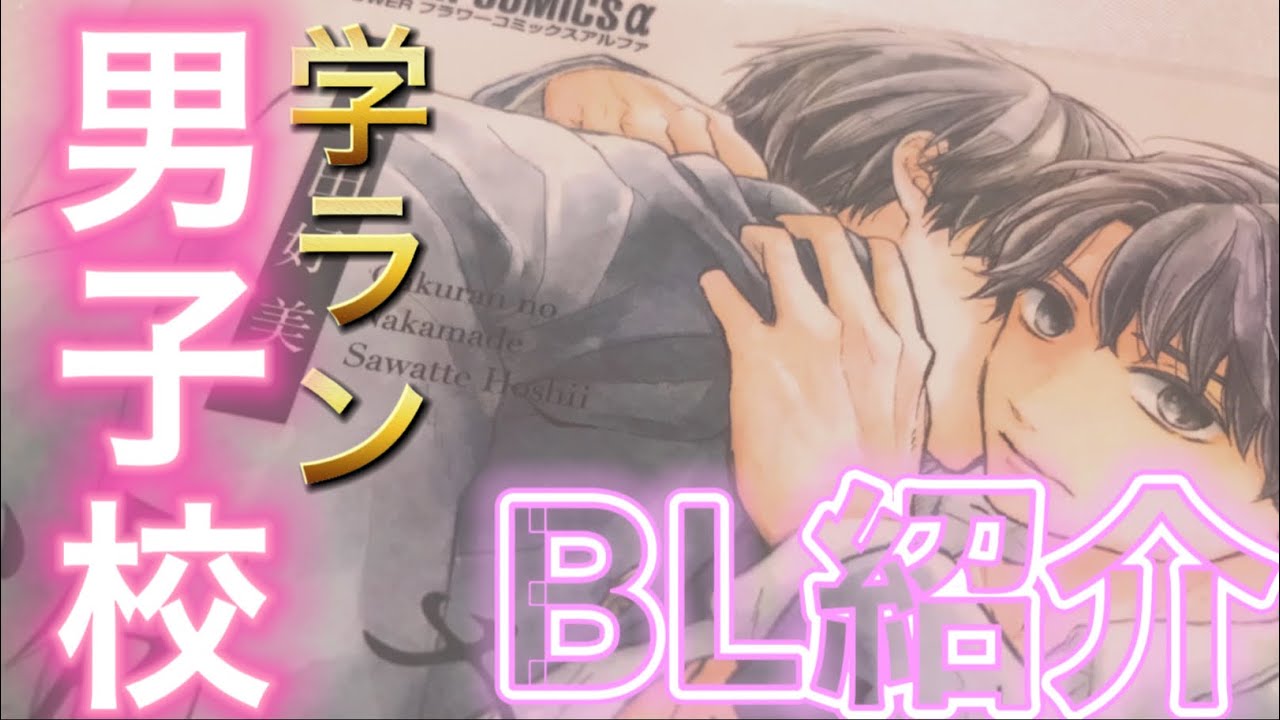 【BL】オススメ漫画「学ランの中までさわって欲しい」ご紹介します！