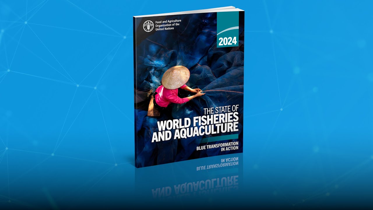 State of the World Fisheries and Aquaculture in Latin America and the Caribbean