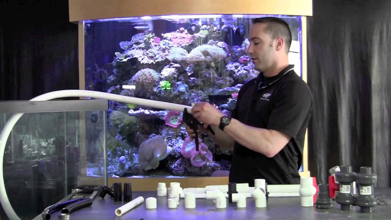 Fish Guy TV Plumbing Aquariums